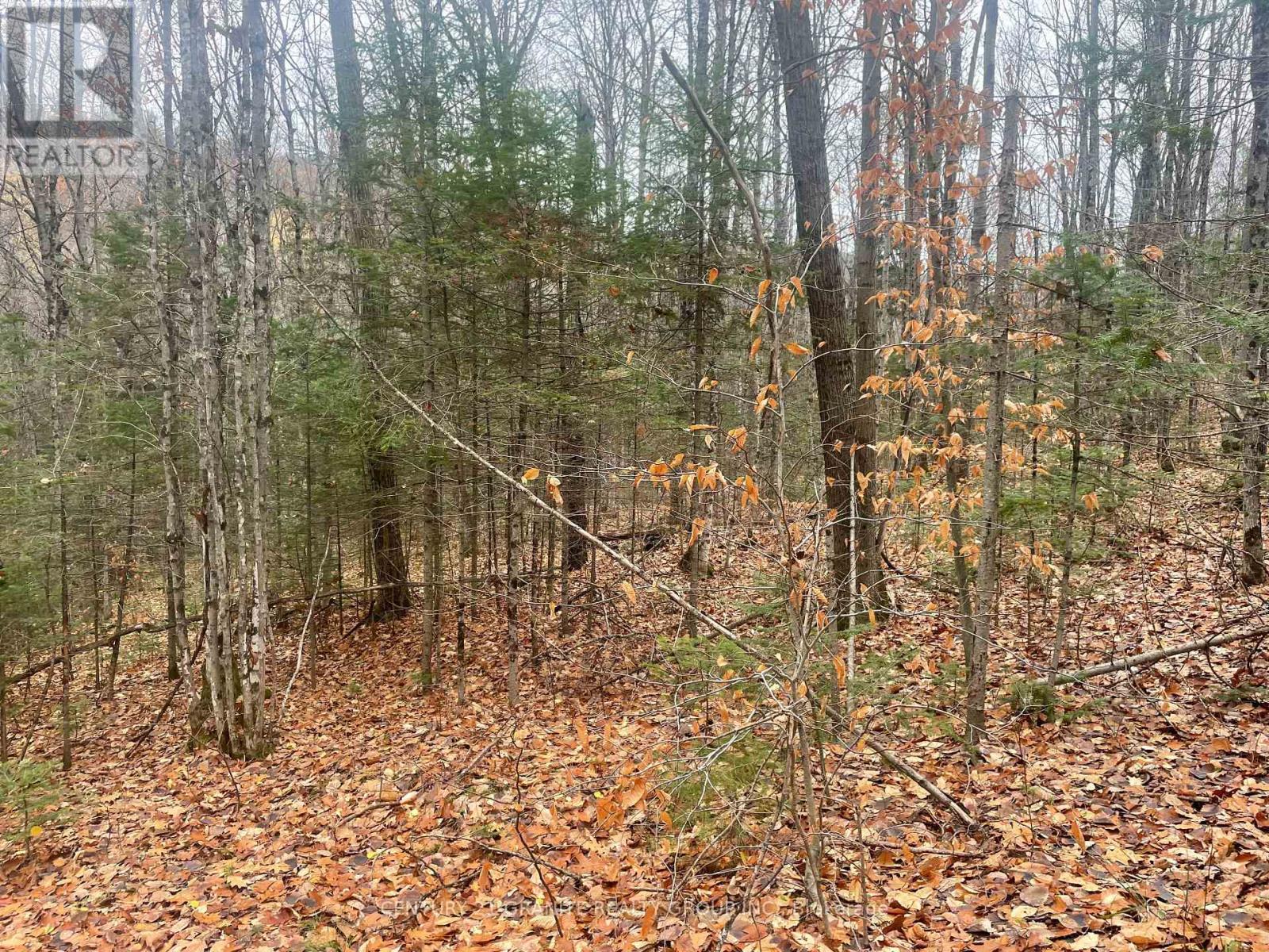 0 Snow Road, Bancroft (Bancroft Ward), ON