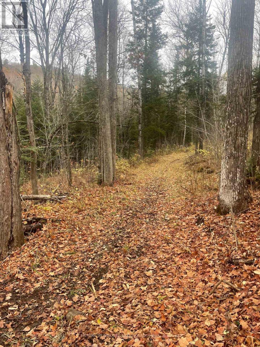 0 Snow Road, Bancroft (Bancroft Ward), ON