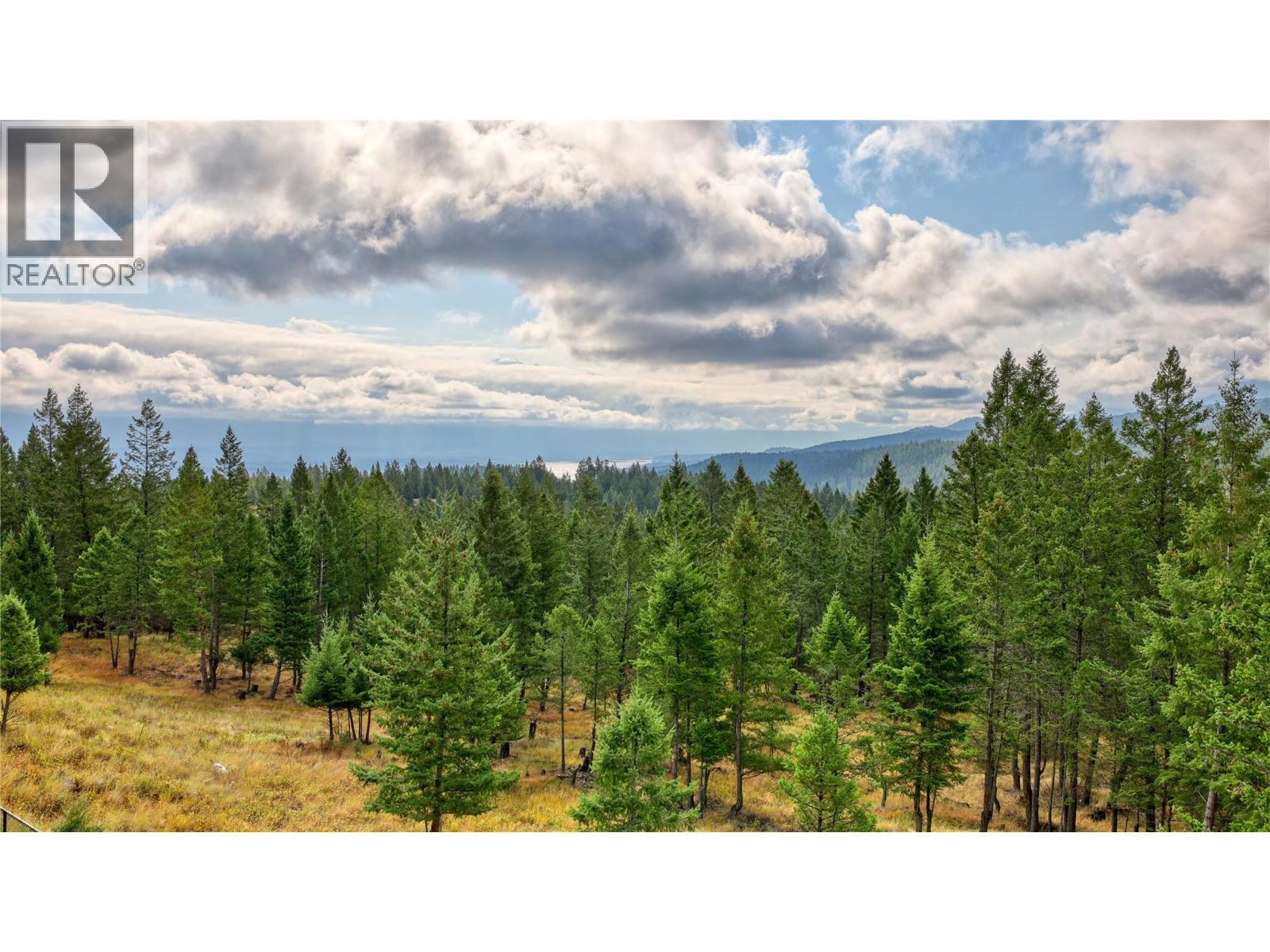 2621 Brewer Ridge Rise, Invermere, BC - Outdoor With View