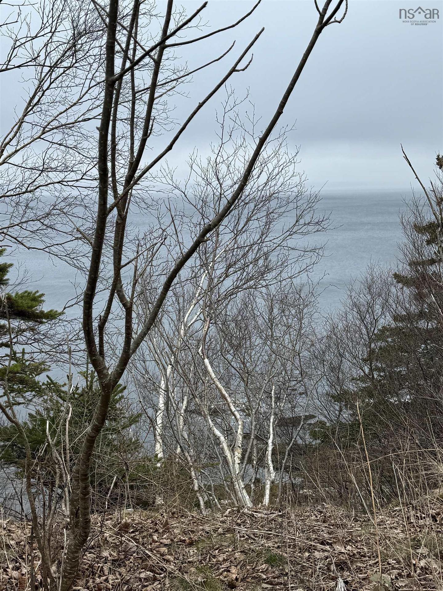 0 16 Highway, Peas Brook, NS