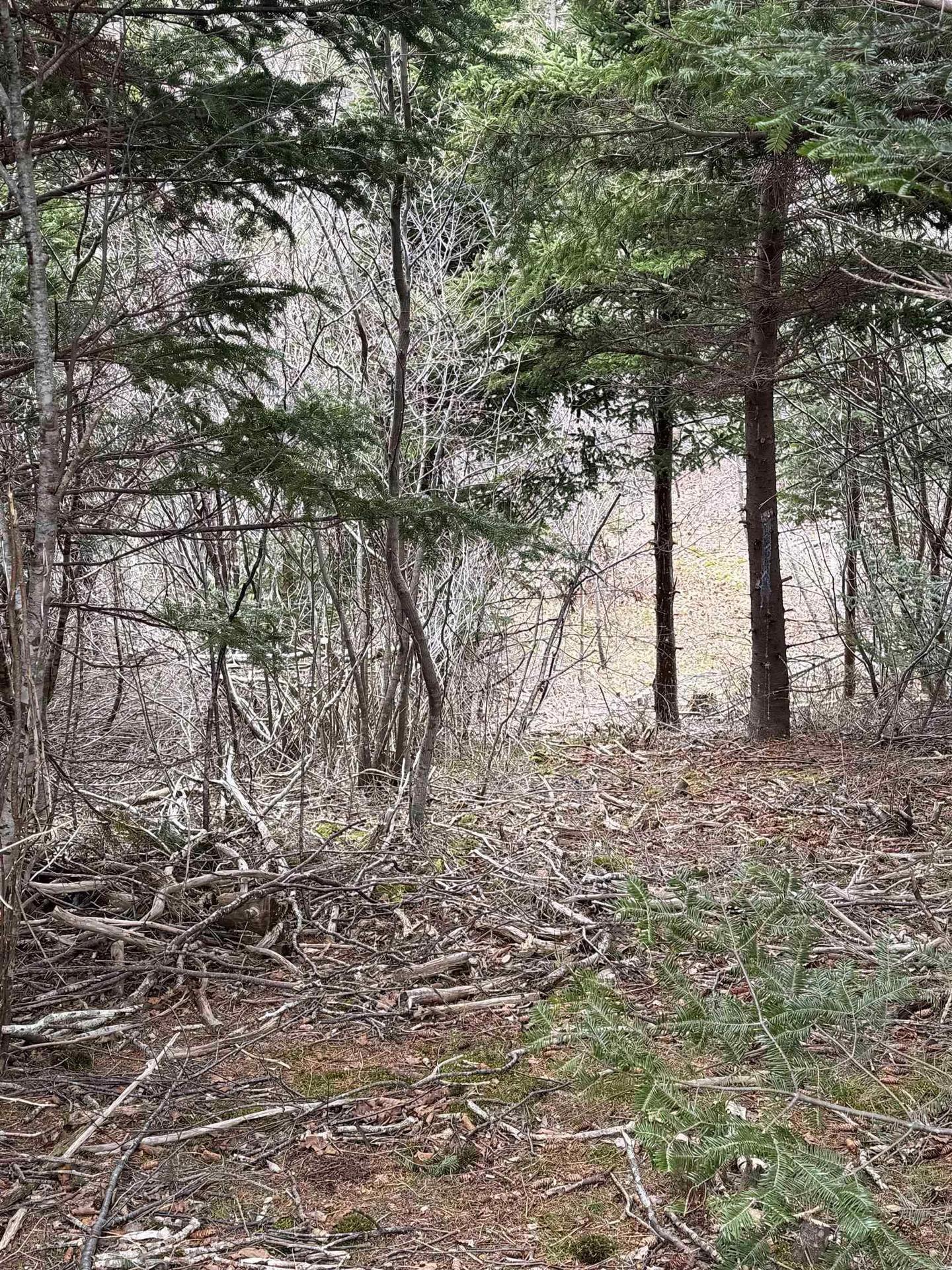 0 16 Highway, Peas Brook, NS