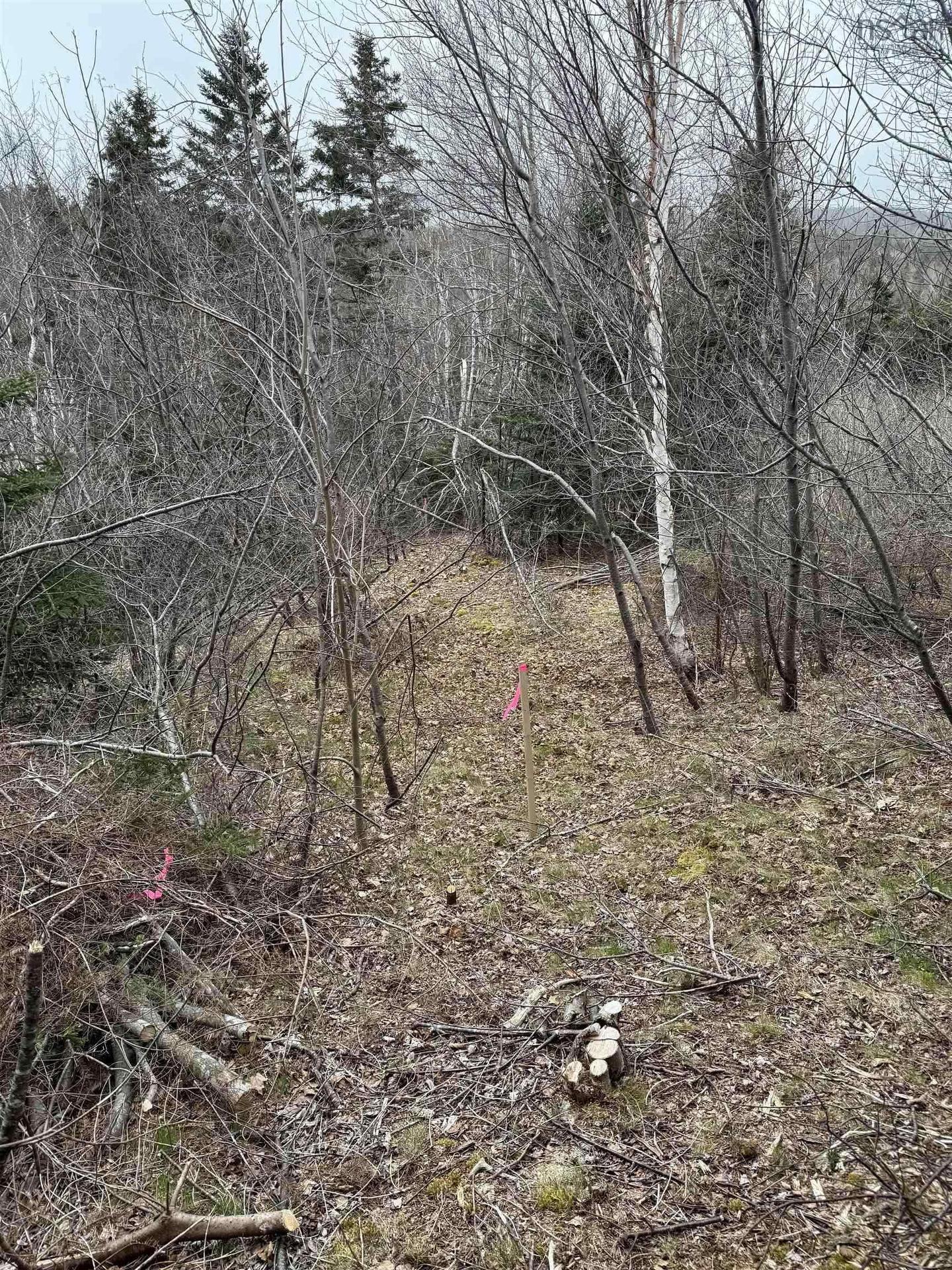 0 16 Highway, Peas Brook, NS