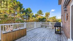 Private back deck -