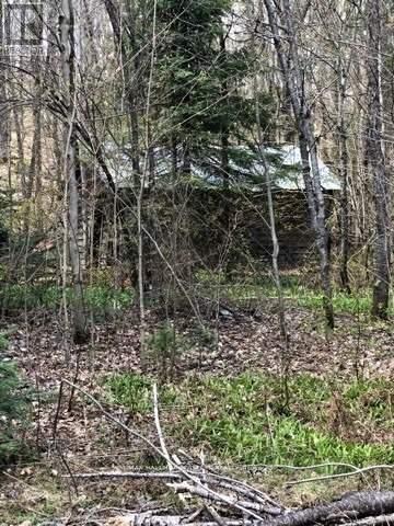 2595 Etwell Road, Huntsville (Stisted), ON