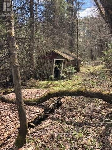 2595 Etwell Road, Huntsville (Stisted), ON