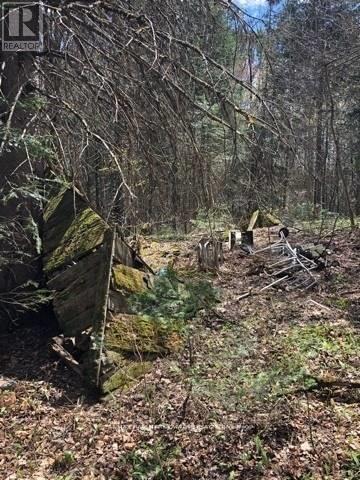 2595 Etwell Road, Huntsville (Stisted), ON