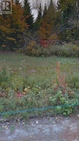 2595 Etwell Road, Huntsville (Stisted), ON