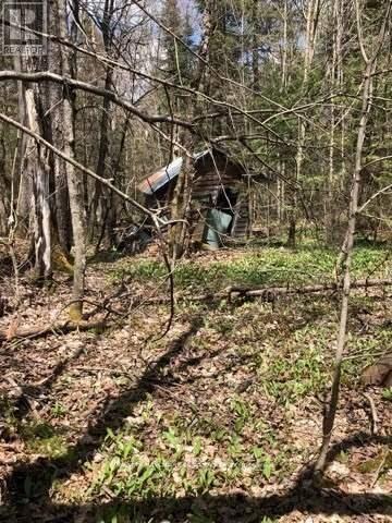 2595 Etwell Road, Huntsville (Stisted), ON