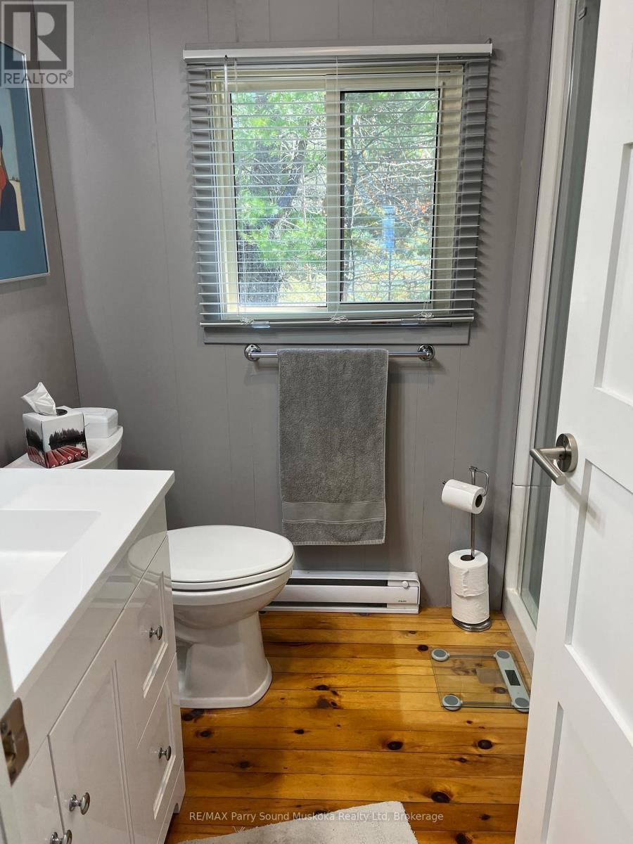 1260 Georgian Bay, The Archipelago (Archipelago North), ON - Indoor Photo Showing Bathroom