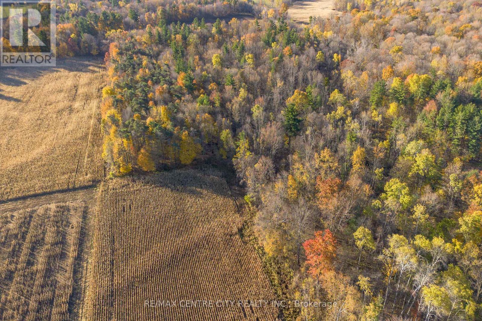 8916 Coyle Road, Bayham, ON