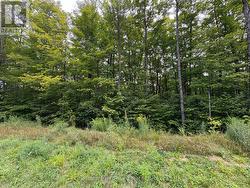 LOT 11 MILLIE'S WAY Armour, ON P0A 1C0