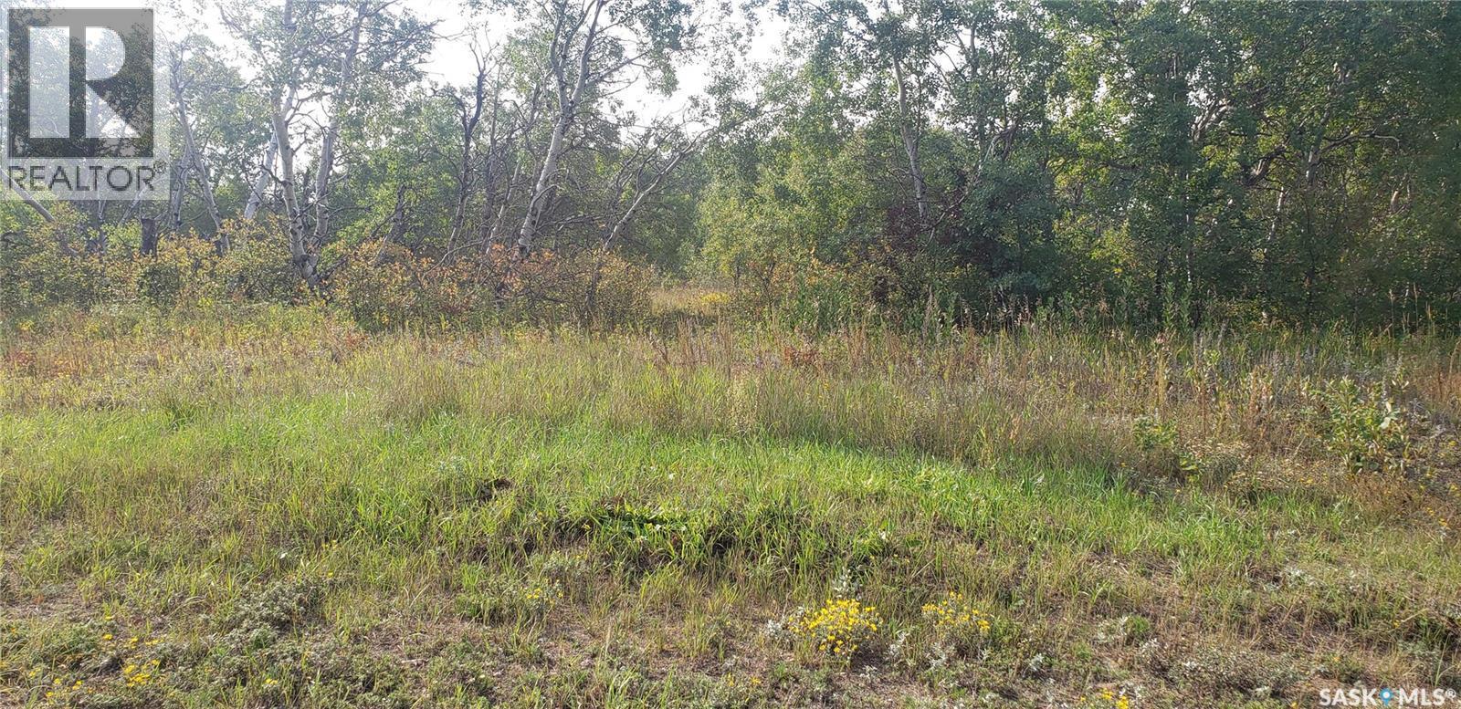 Lot 12 Whitetail Trail, Duck Lake Rm No. 463, SK