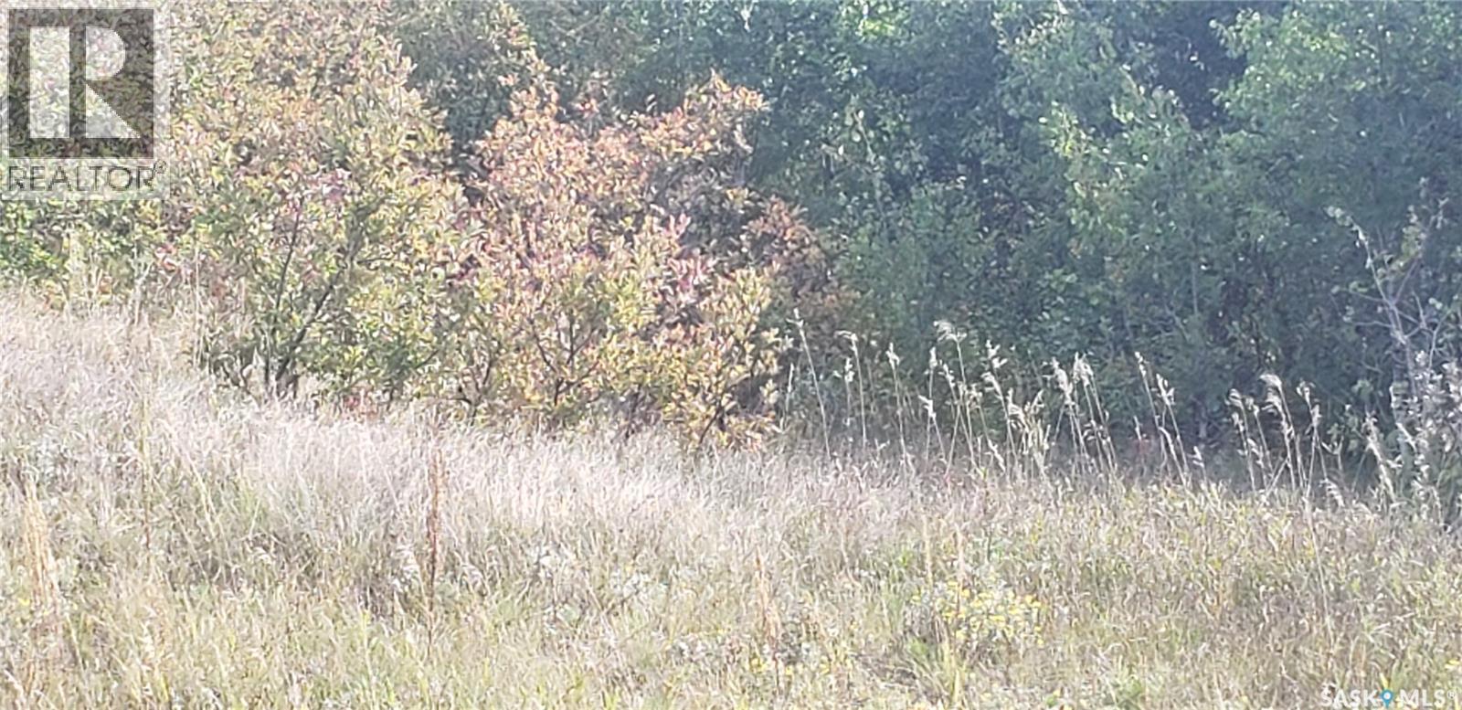 Lot 12 Whitetail Trail, Duck Lake Rm No. 463, SK