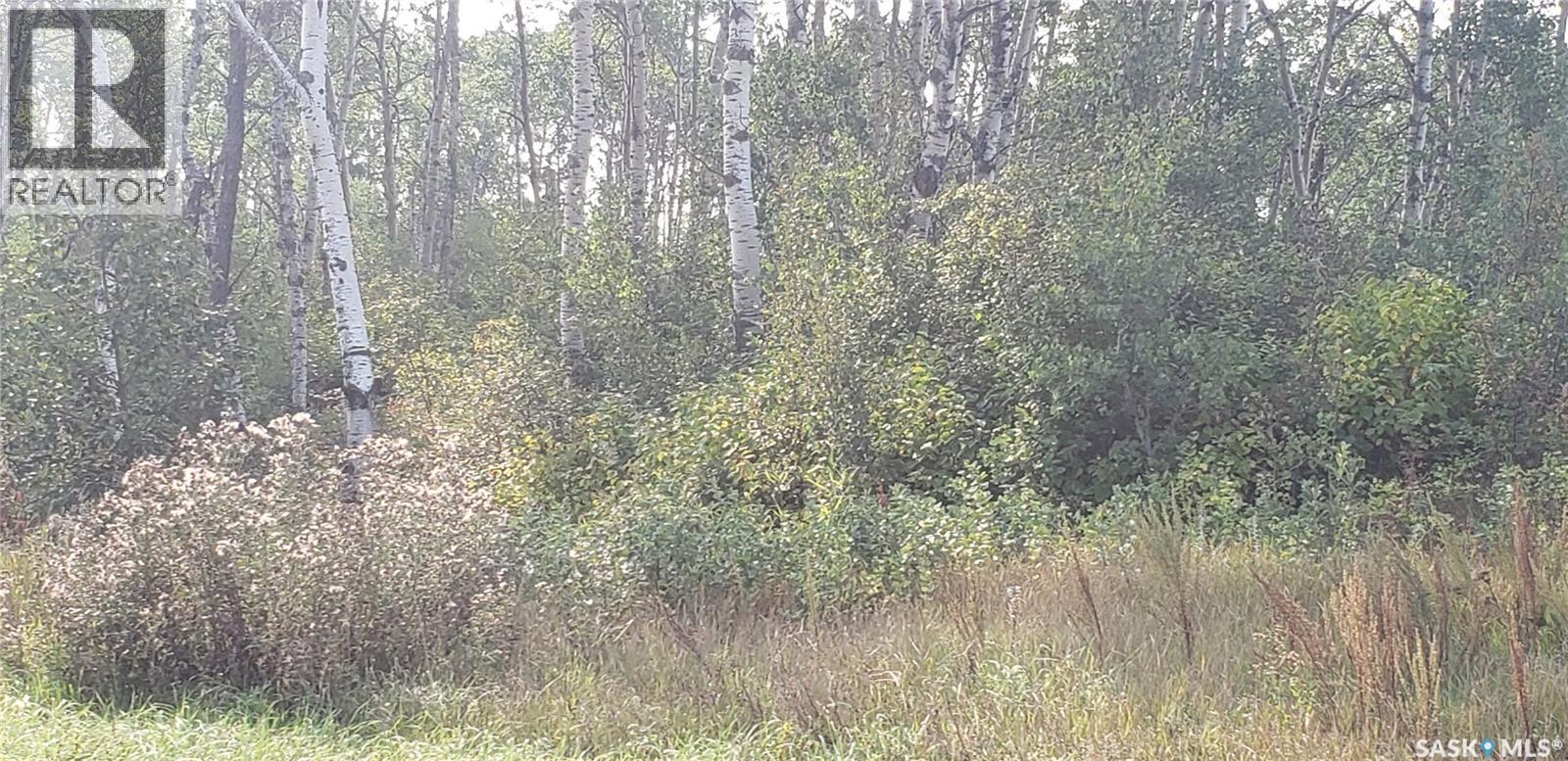 Lot 12 Whitetail Trail, Duck Lake Rm No. 463, SK