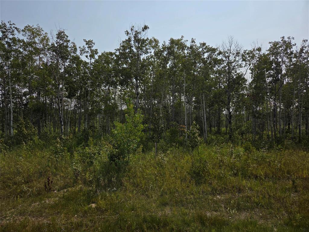 151 Tilstone Road, Ste Anne Rm, MB