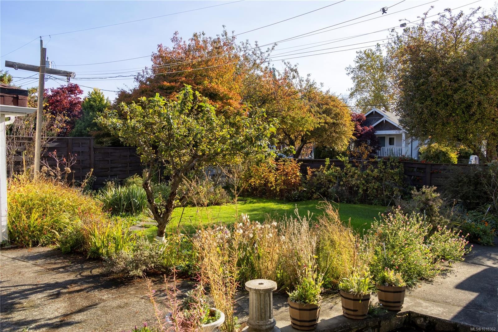 305 Linden Ave, Victoria, BC