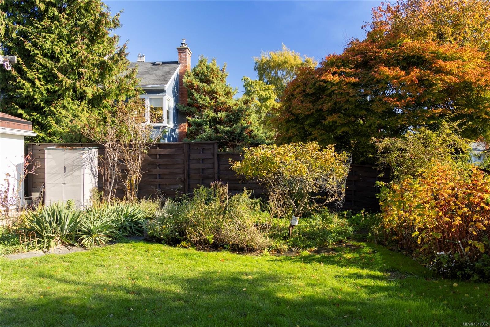 305 Linden Ave, Victoria, BC