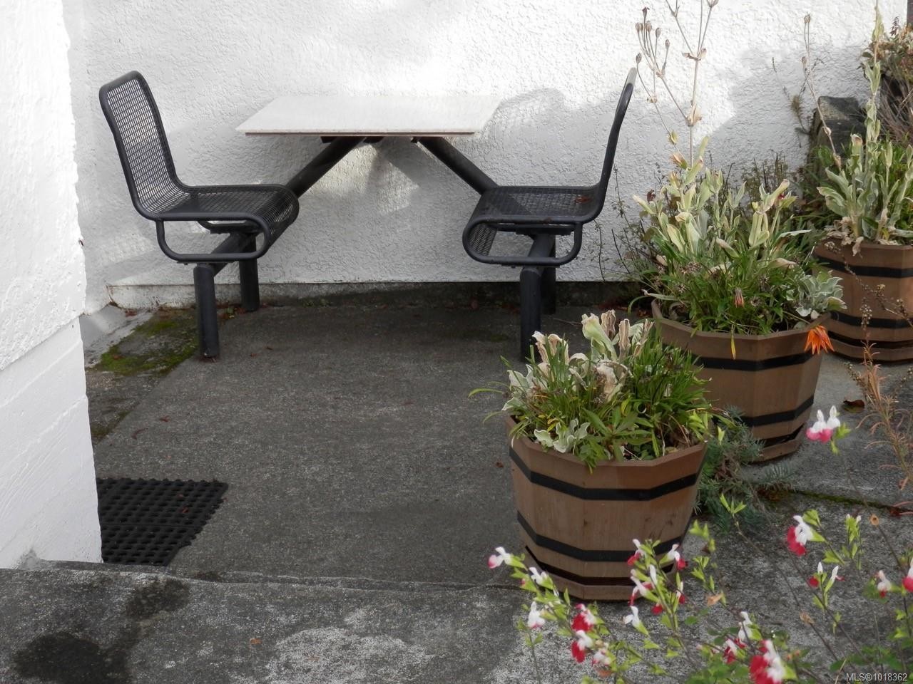 305 Linden Ave, Victoria, BC