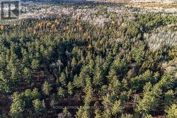 00 WILB CON 10 PT LOTS 6,7 RP49R4865 PART 1 North Algona Wilberforce, ON K0J 1T0