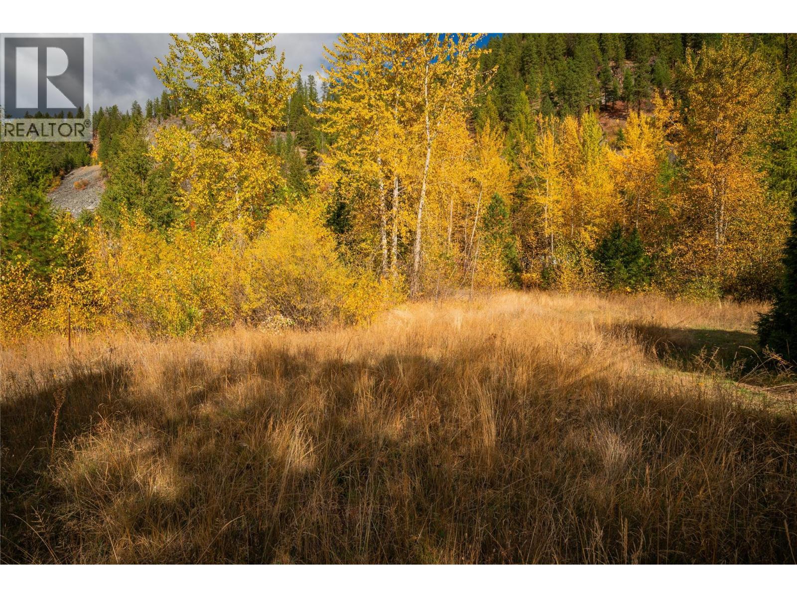 Lot 4 Sandner Frontage Road, Christina Lake, BC