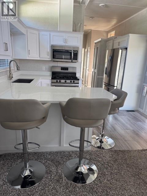 1383 Silver Sands Road Unit# 129, Sicamous, BC