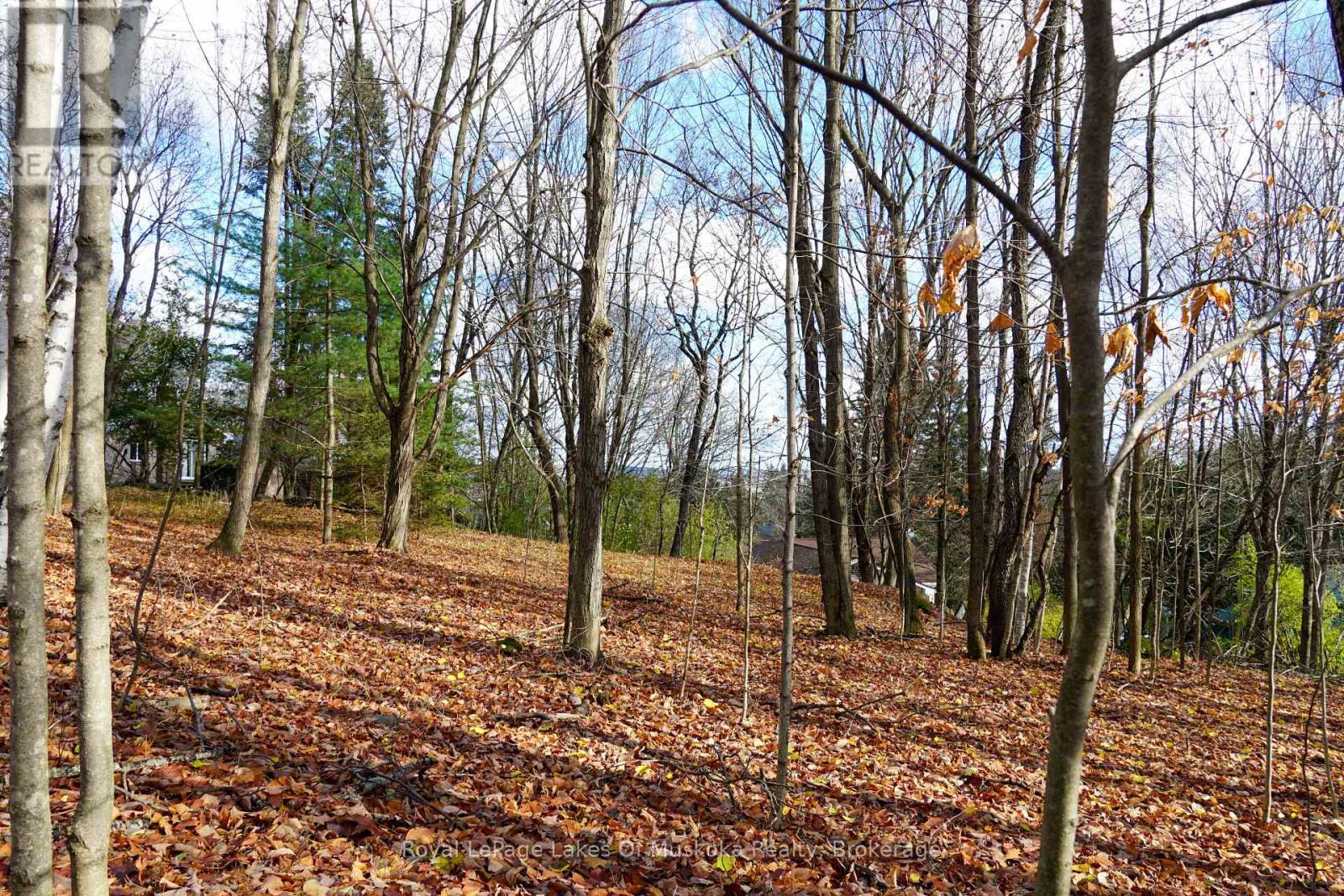 8 Rice Lane, Huntsville (Chaffey), ON