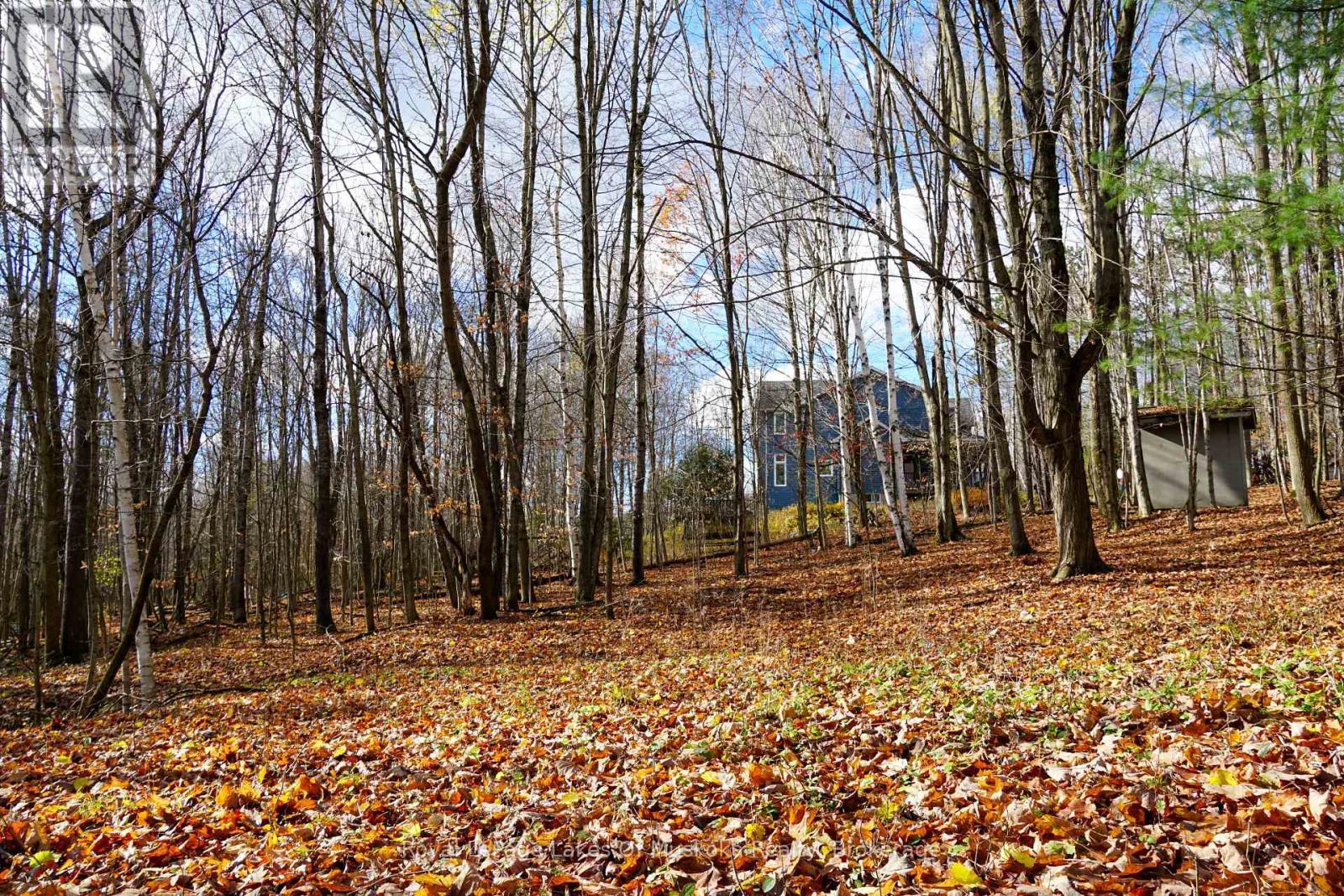 8 Rice Lane, Huntsville (Chaffey), ON