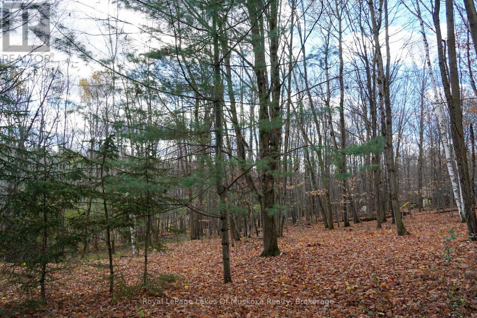 8 Rice Lane, Huntsville (Chaffey), ON