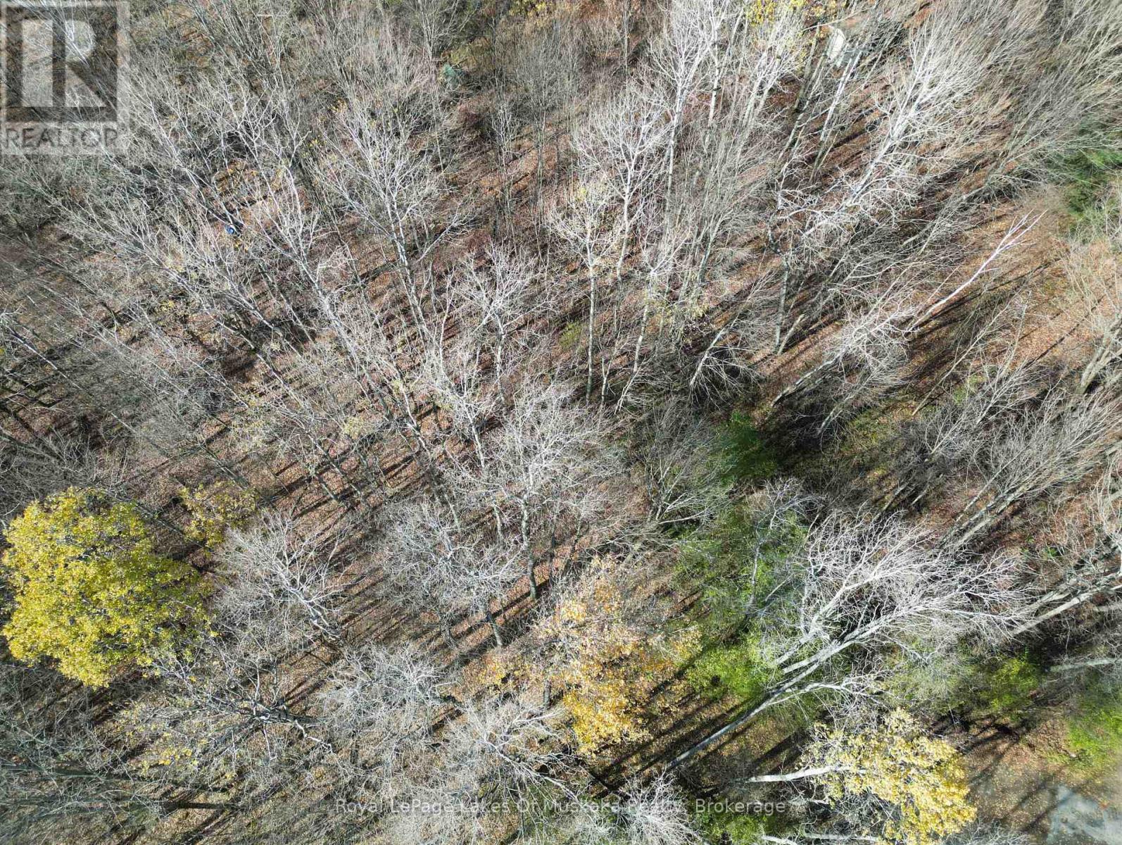 8 Rice Lane, Huntsville (Chaffey), ON