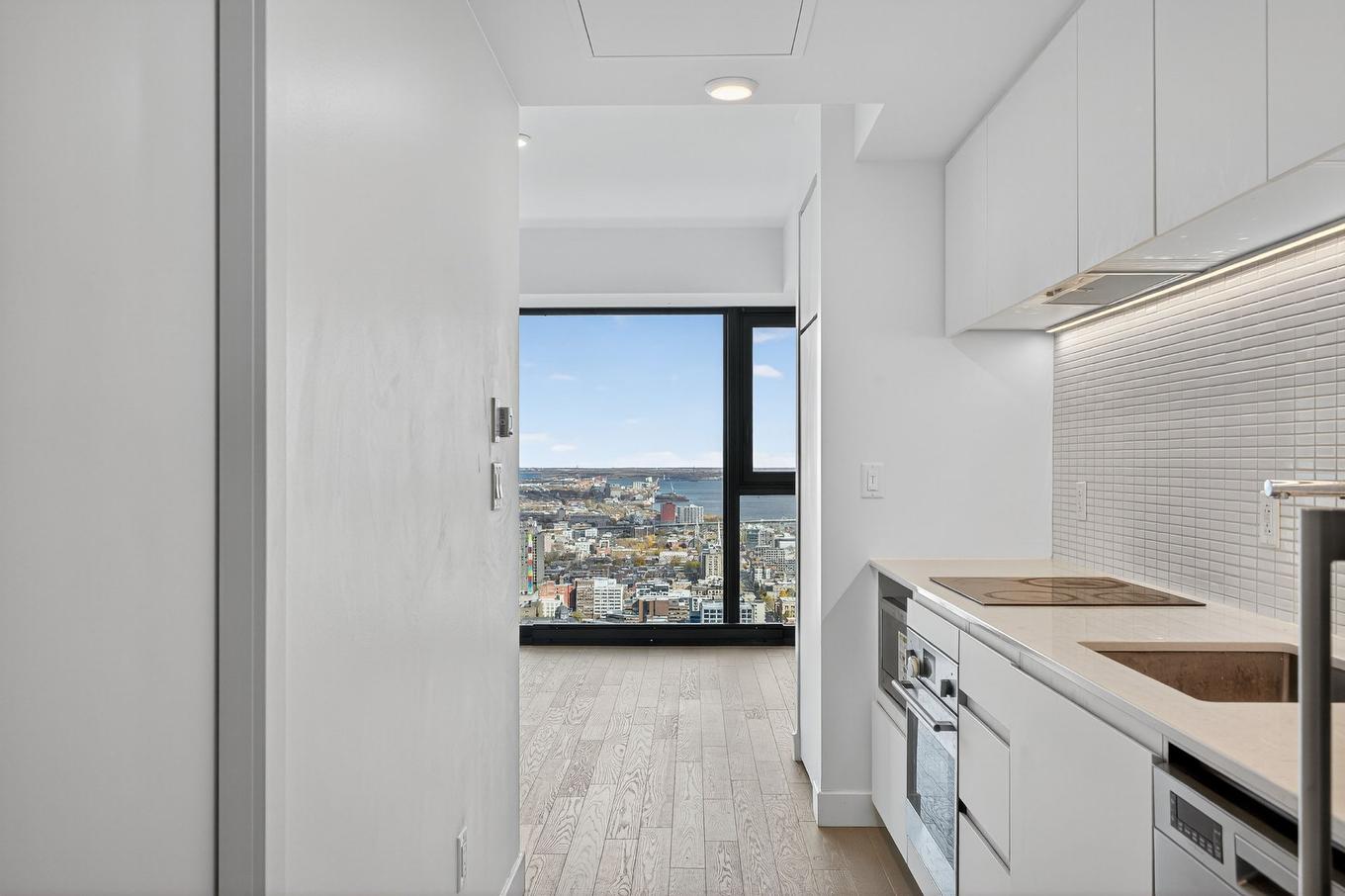 Overall view - 4916-1210 Rue Jeanne-Mance, Montréal (Ville-Marie), QC - Indoor Photo Showing Kitchen