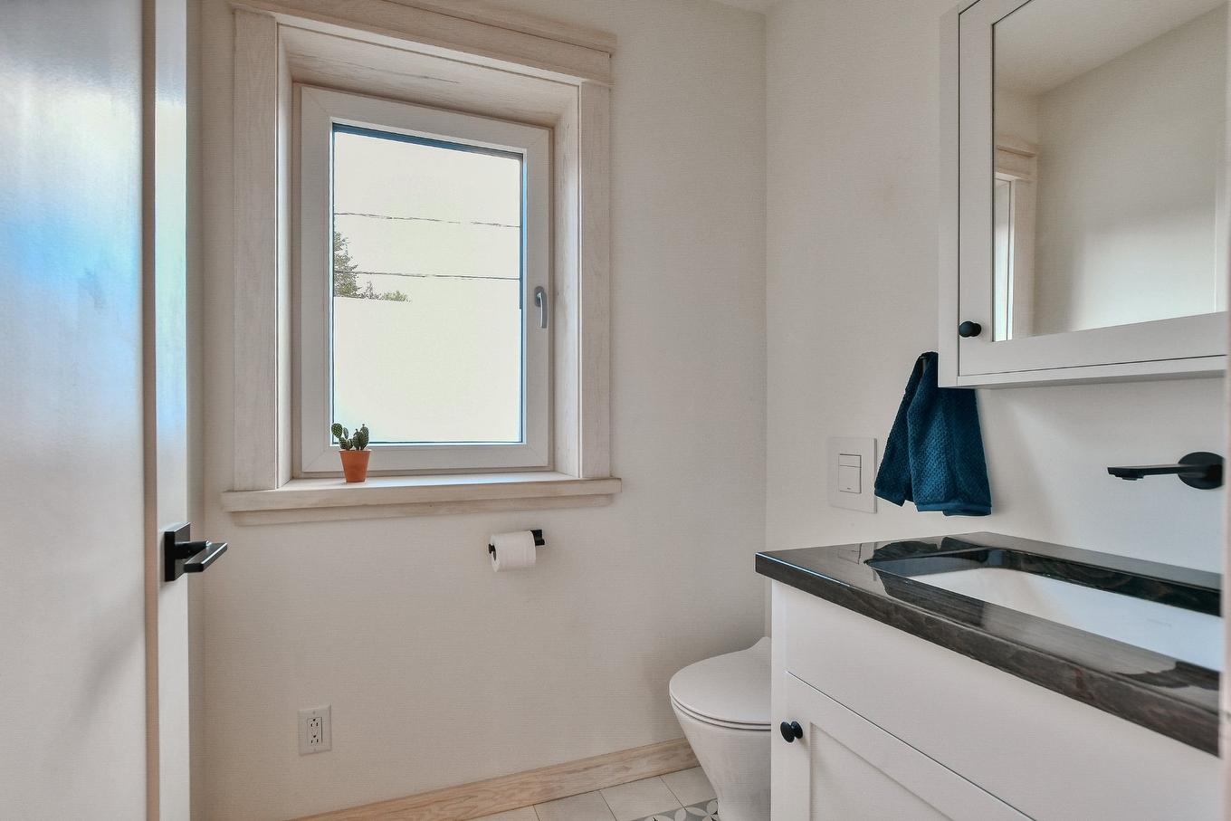Salle d'eau - 2466 Rue St-Adolphe, Val-David, QC - Indoor Photo Showing Bathroom