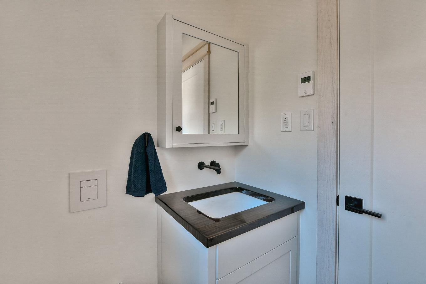 Salle d'eau - 2466 Rue St-Adolphe, Val-David, QC - Indoor Photo Showing Bathroom