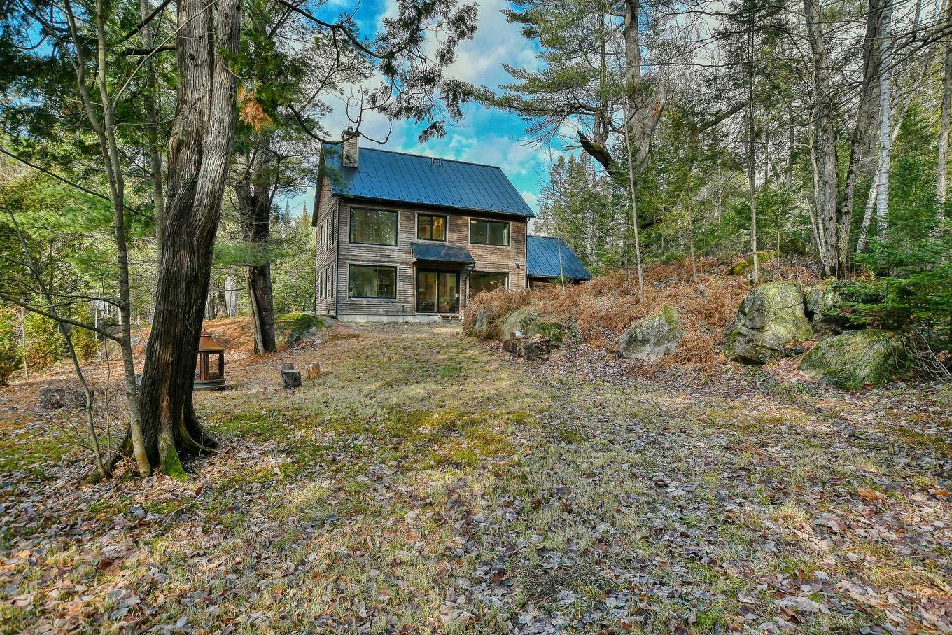 Face arrière - 2466 Rue St-Adolphe, Val-David, QC - Outdoor