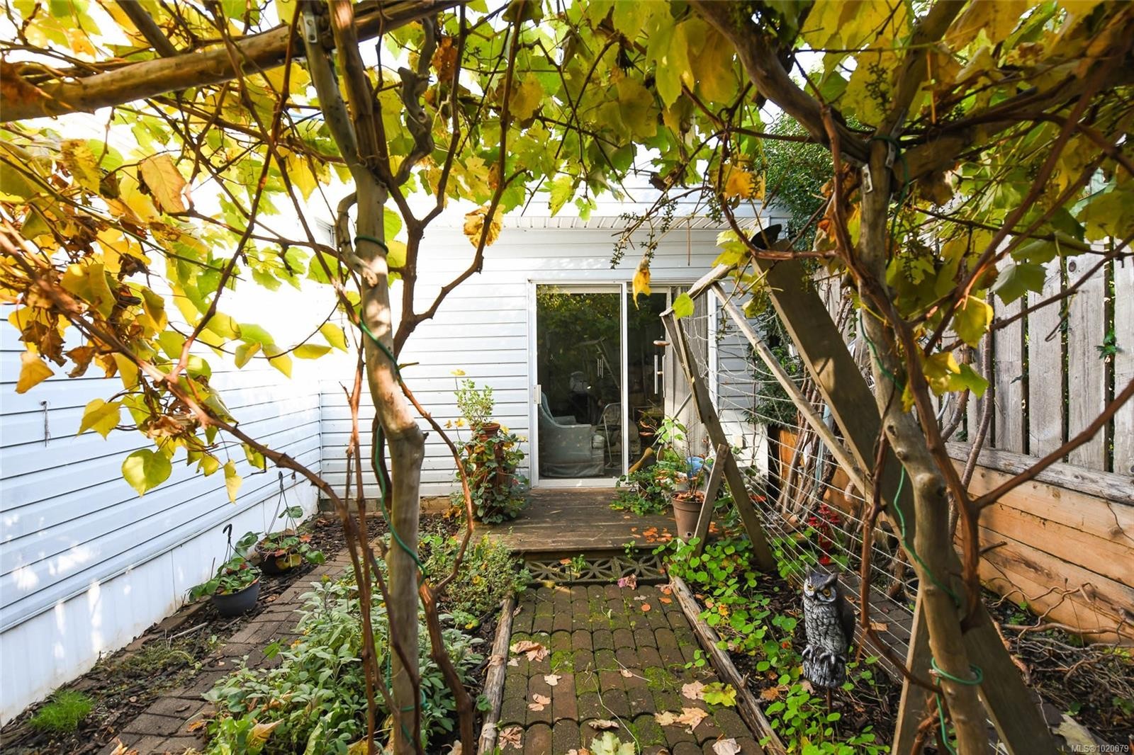 5557 Horne St, Union Bay, BC