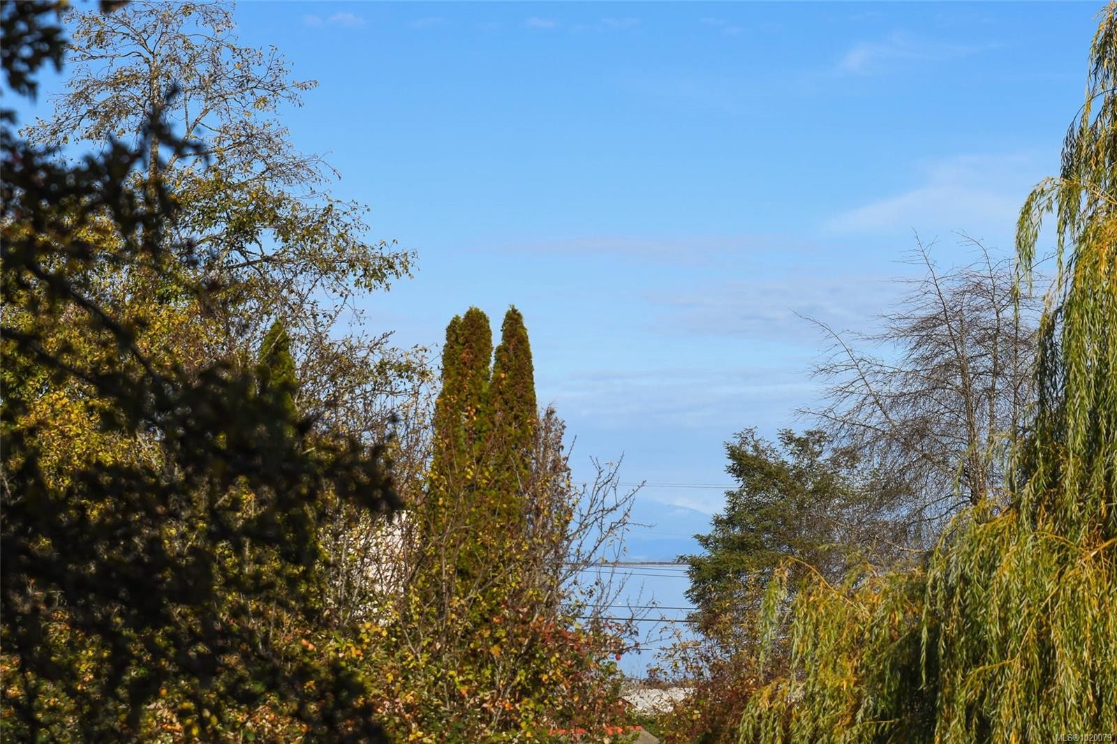 5557 Horne St, Union Bay, BC