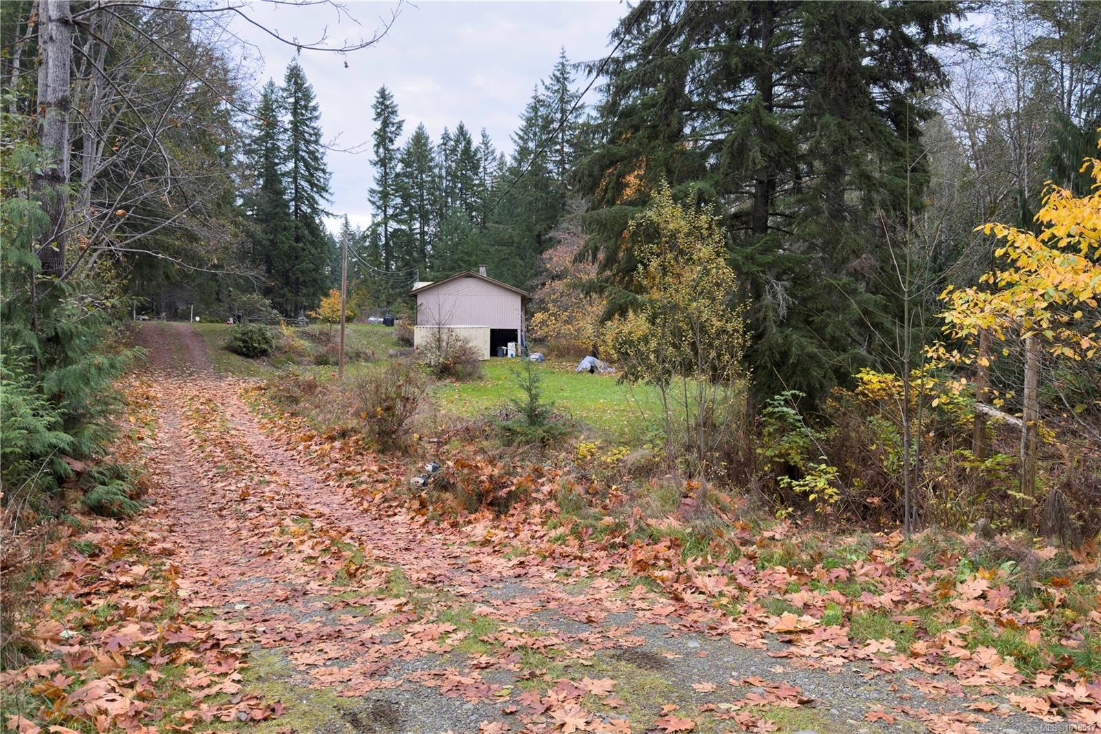 9571 Gleadle Rd, Black Creek, BC