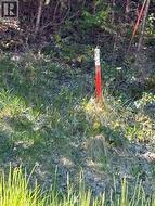 2624 Grandview Place Blind Bay, BC V7N 4M2