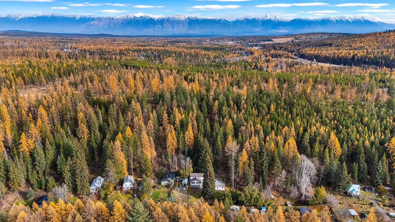 75 Morrison Road, Kimberley, BC - Outdoor With View