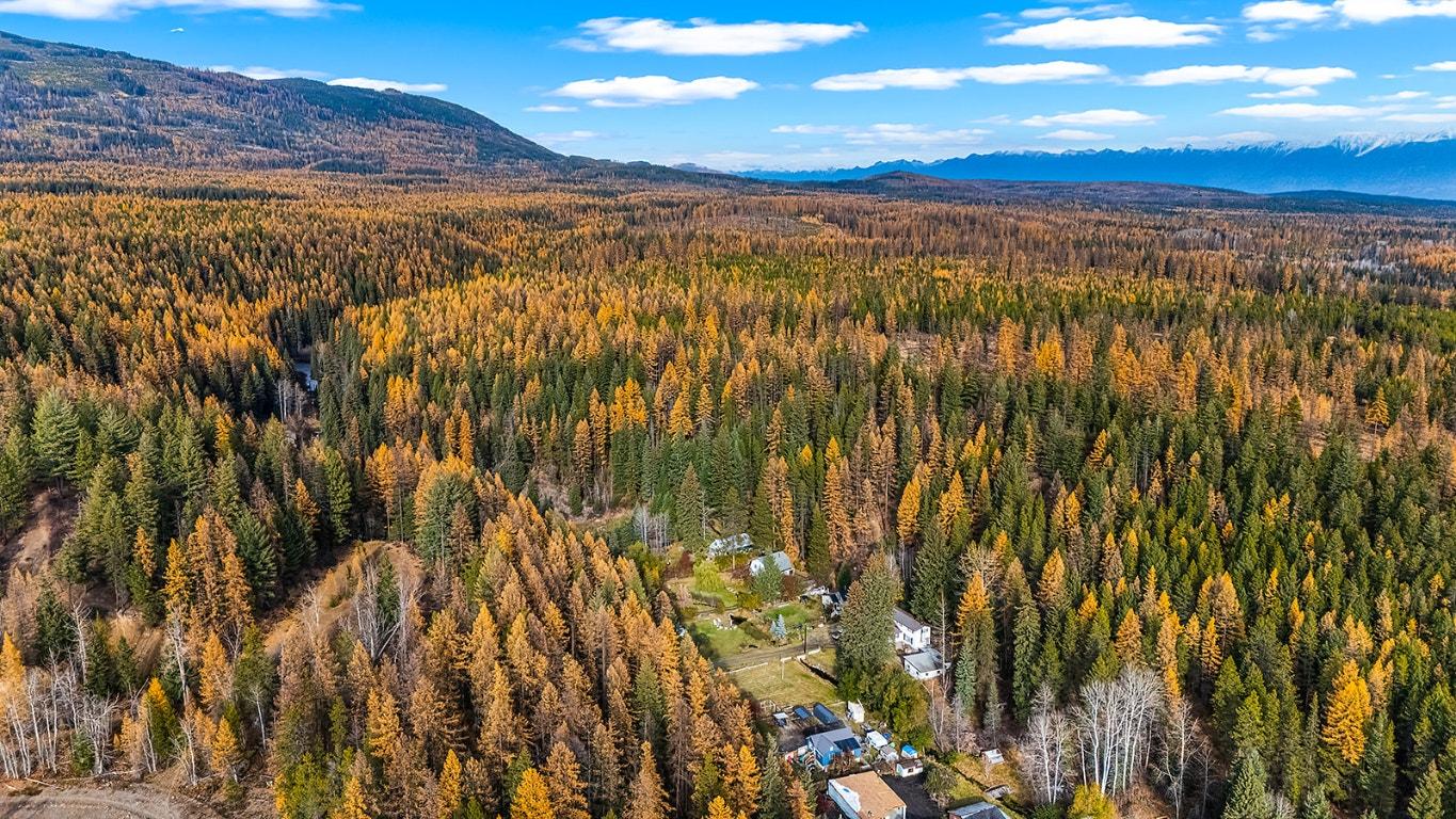 75 Morrison Road, Kimberley, BC - Outdoor With View