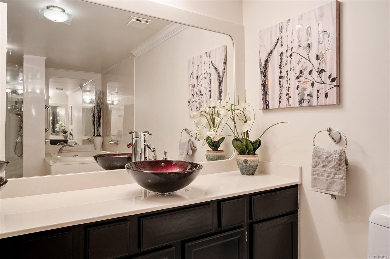 201-640 Montreal St, Victoria, BC - Indoor Photo Showing Bathroom