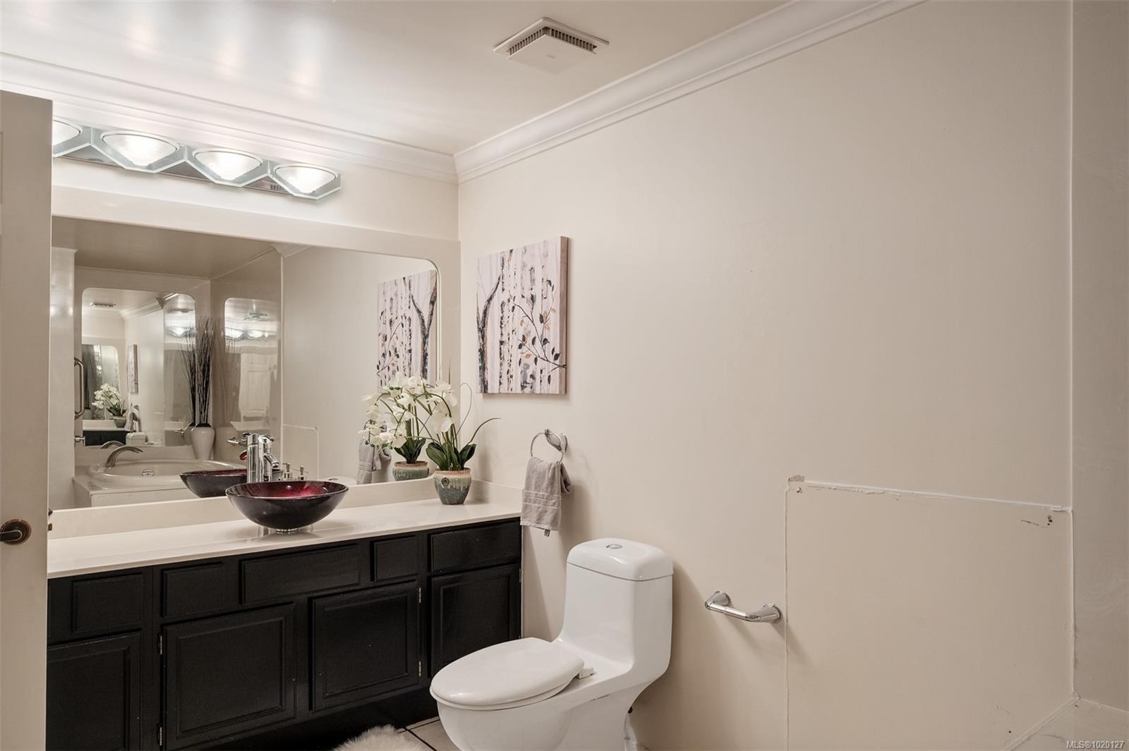 201-640 Montreal St, Victoria, BC - Indoor Photo Showing Bathroom