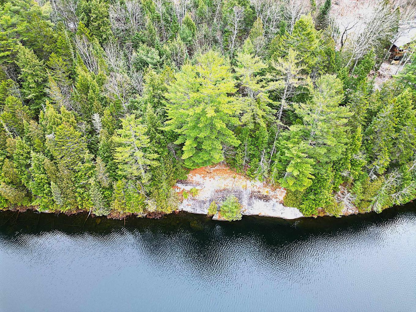 Vue d'ensemble - Ch. Du Lac-De-L'Abies, Labelle, QC