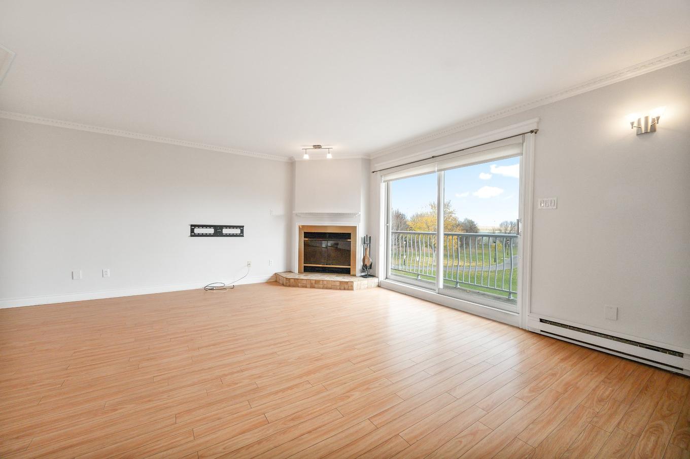 Living room - 9623 Rue Bellerive, Montréal (Mercier/Hochelaga-Maisonneuve), QC - Indoor Photo Showing Living Room With Fireplace