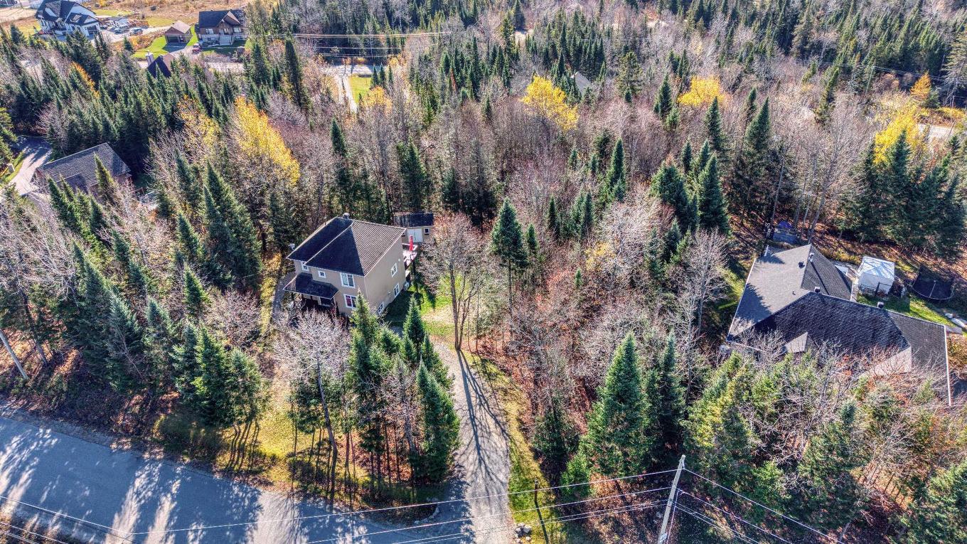 Aerial photo - 67 Mtée Des Samares, Sainte-Agathe-Des-Monts, QC - Outdoor With View