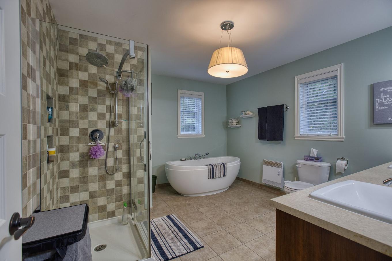 Bathroom - 67 Mtée Des Samares, Sainte-Agathe-Des-Monts, QC - Indoor Photo Showing Bathroom