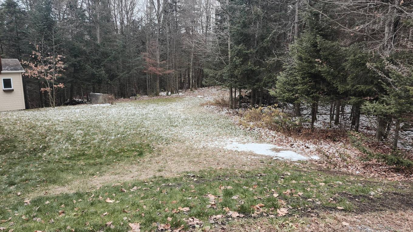 Backyard - 67 Mtée Des Samares, Sainte-Agathe-Des-Monts, QC - Outdoor