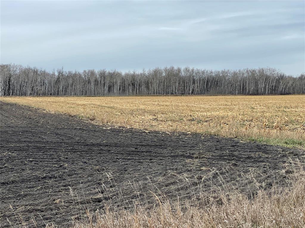 0 41W/48N Road, St Claude, MB