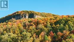 Escarpment in Milton -