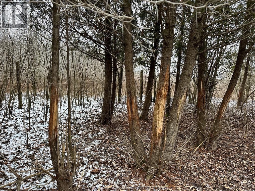 0 Oakdale Road, Dawn-Euphemia, ON