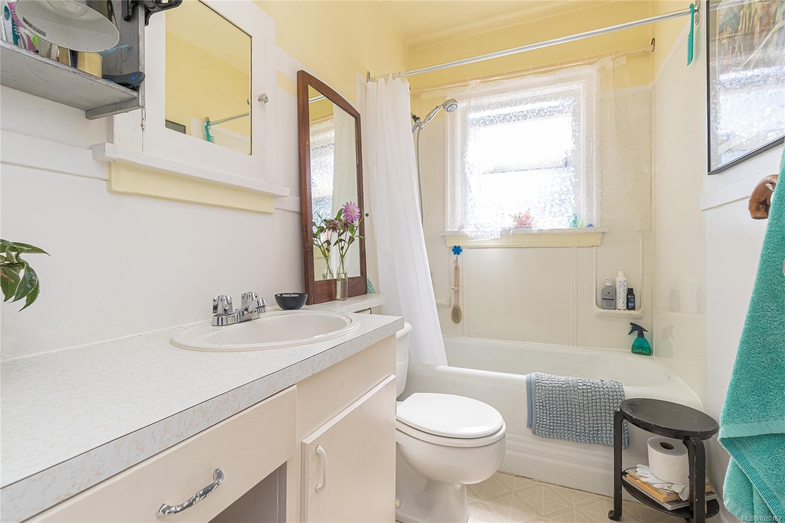 841/839 Princess Ave, Victoria, BC - Indoor Photo Showing Bathroom
